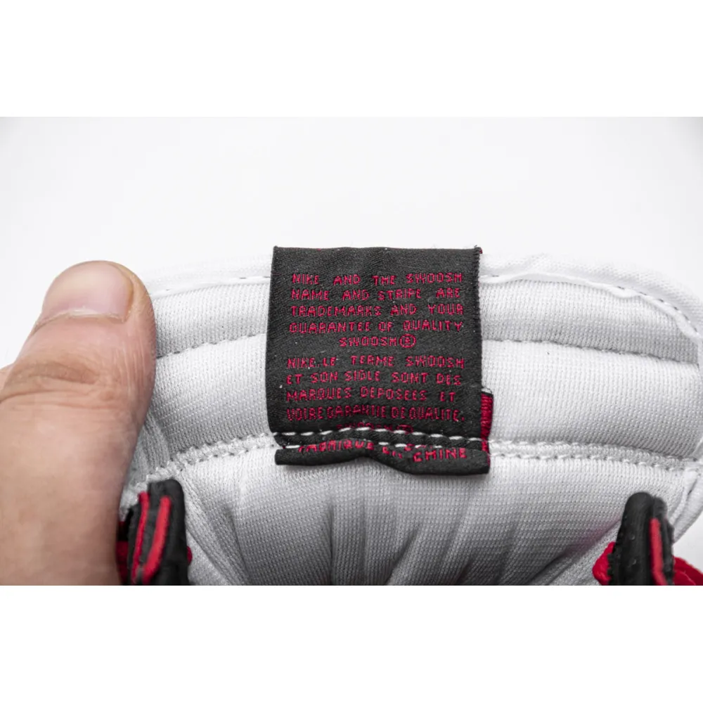 Air Jordan 1 Retro High Bloodline