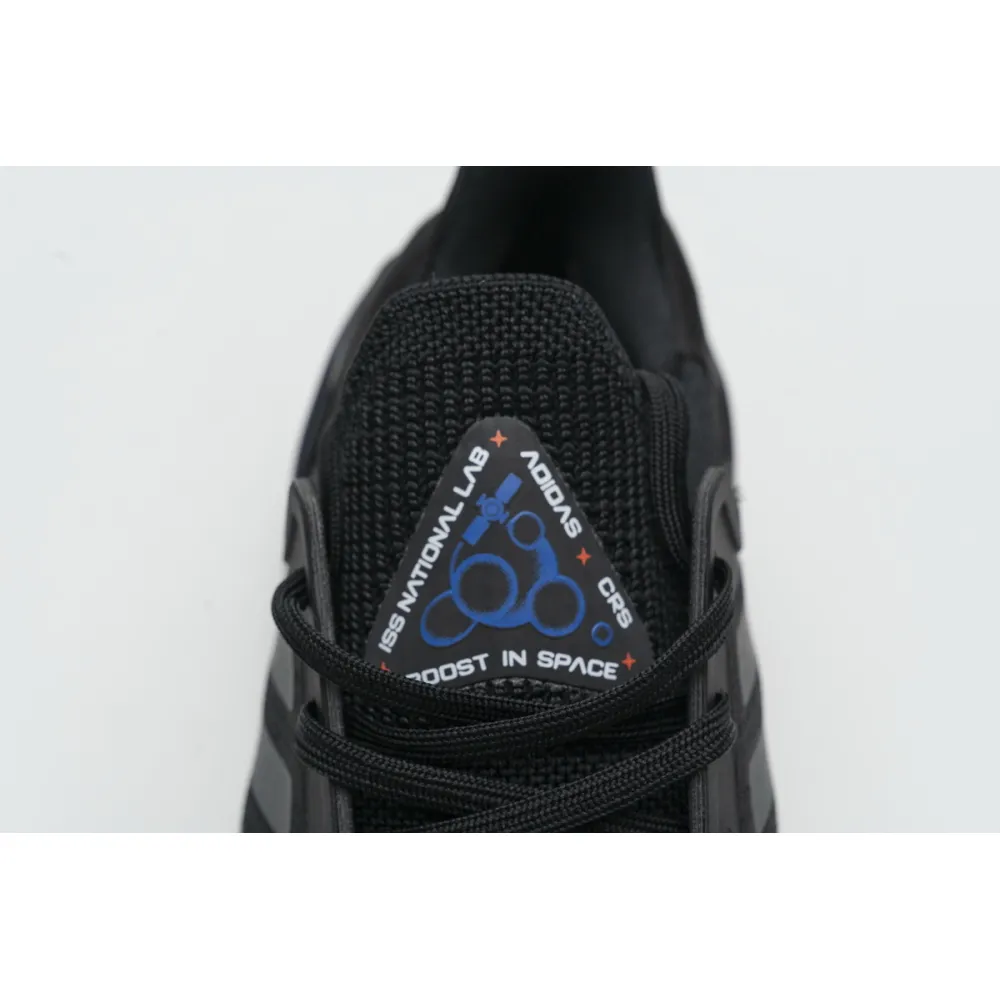 Adidas Ultra Boost 2020 ISS US National Lab Core Black Blue Violet