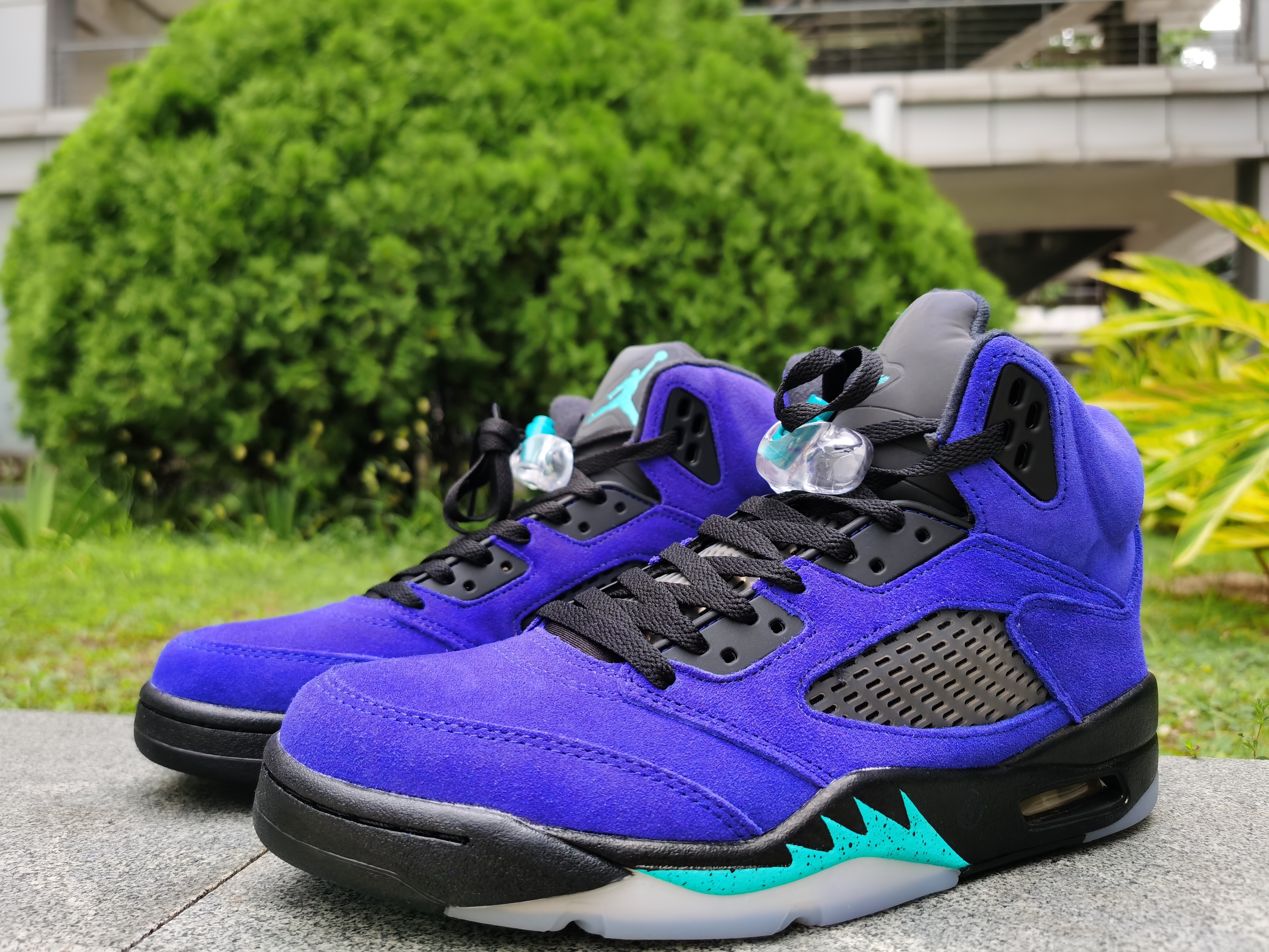 Air Jordan 5 Retro Alternate Grape 136027-500
