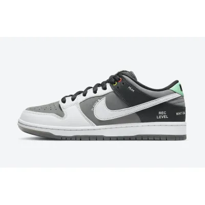 Nike SB Dunk Low Pro Iso VX1000 Camcorder CV1659-001 01
