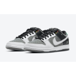 Nike SB Dunk Low Pro Iso VX1000 Camcorder