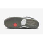 Nike SB Dunk Low Pro Iso VX1000 Camcorder CV1659-001