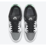 Nike SB Dunk Low Pro Iso VX1000 Camcorder CV1659-001