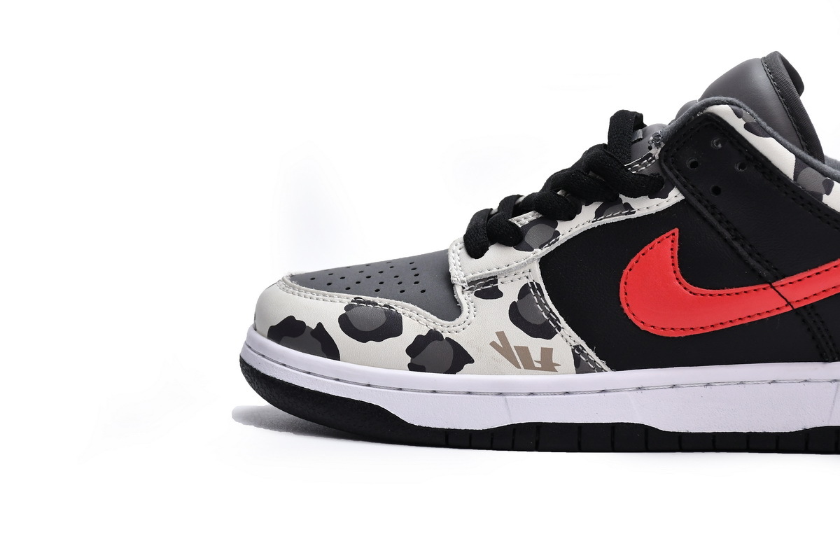 Nike Dunk Low Graffiti