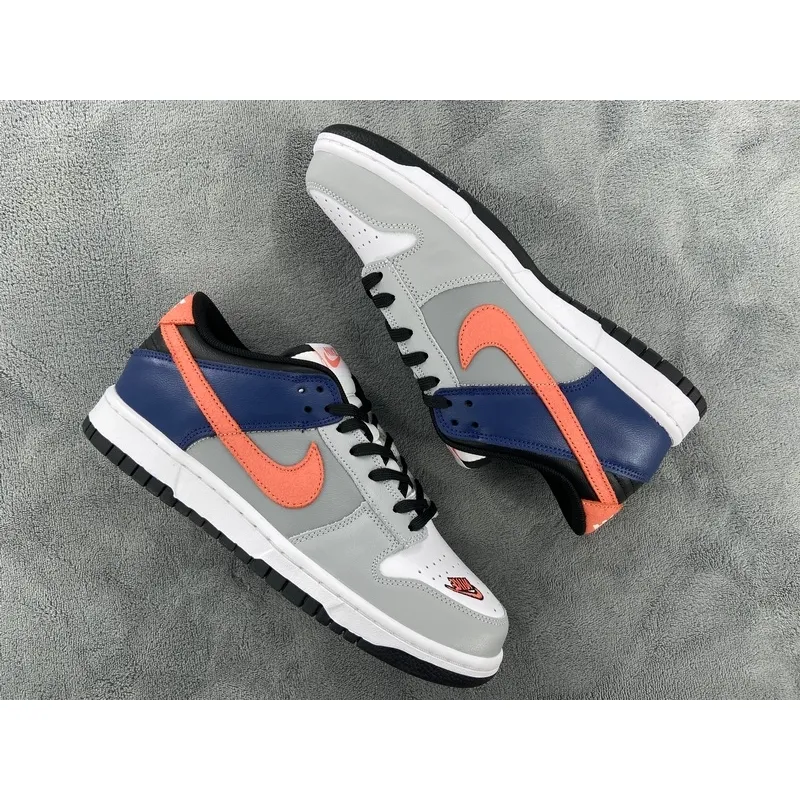 Nike Dunk Low EKIN