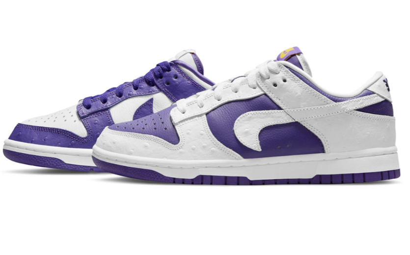 Nike Dunk SB Low Flip The Old School DJ4636-100