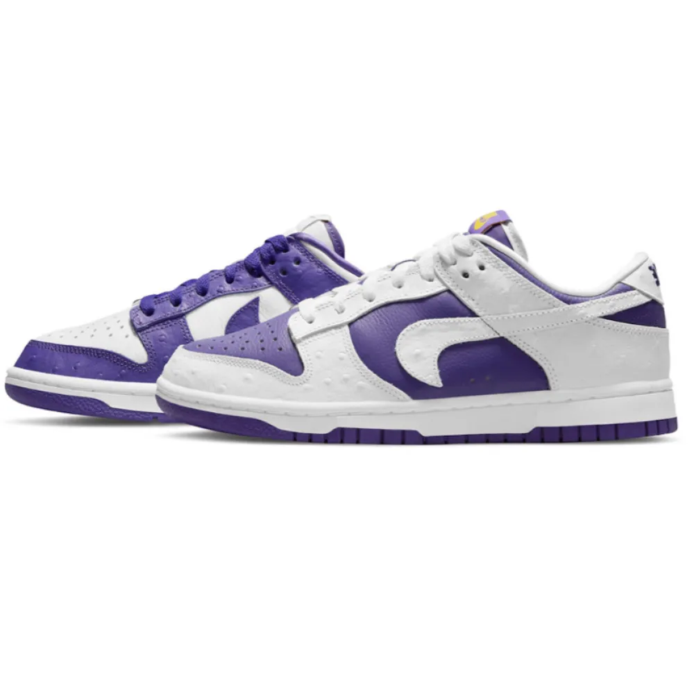 Nike Dunk SB Low Flip The Old School DJ4636-100