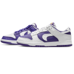 Nike Dunk SB Low Flip The Old School DJ4636-100