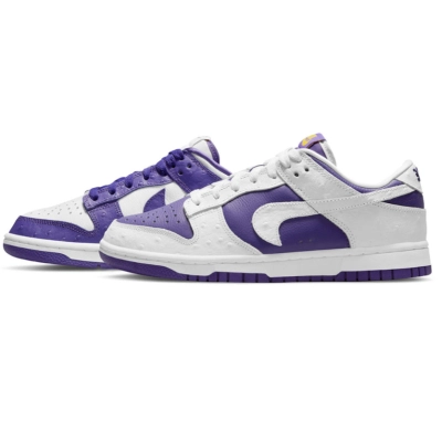 Nike Dunk SB Low Flip The Old School DJ4636-100 01