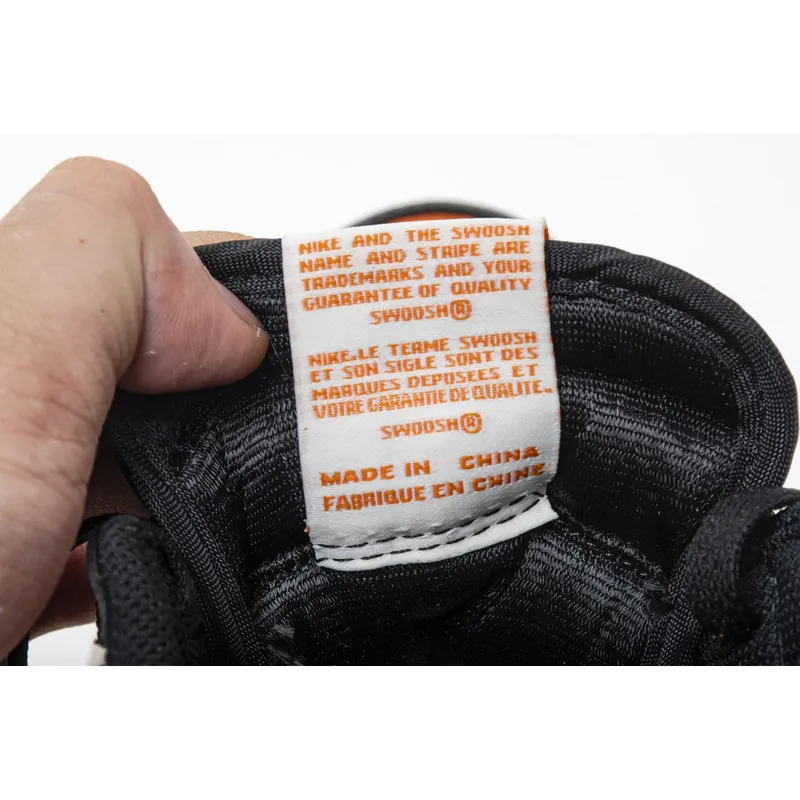 Air Jordan 1 Retro Shattered Backboard