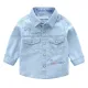 Light Blue 002