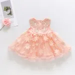 Baby Girls Dresses Summer Sleeveless Three-Dimensional Floral Gauze Princess Dress