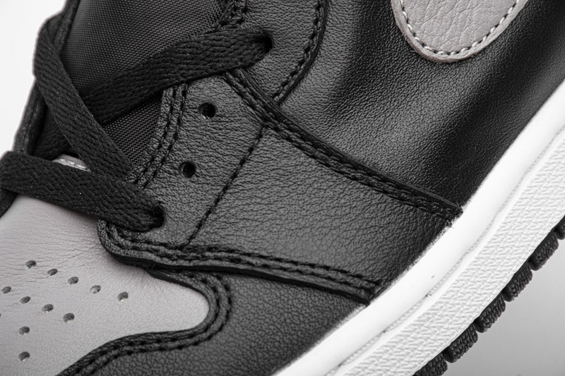 Jordan 1 Retro High Shadow (2018)