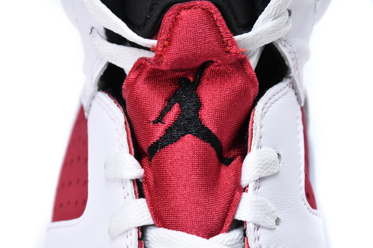 Jordan 6 Retro Carmine (2021)