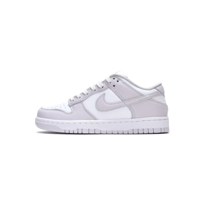 Nike Dunk Low Venice (Mid Quality) 01