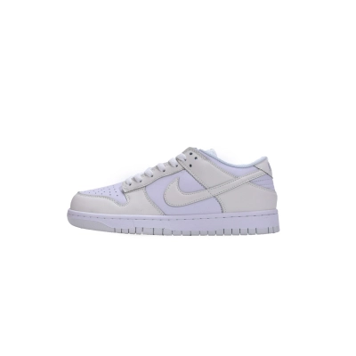 Nike Dunk Low Next Nature Sail (Mid Quality) 01