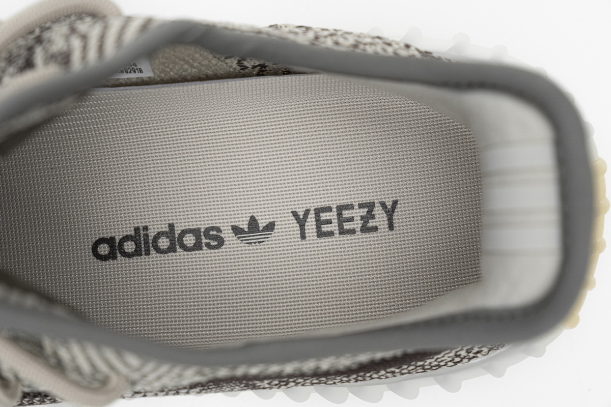 adidas Yeezy Boost 350 V2 Zyon