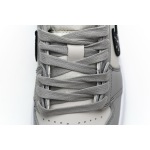 Jordan 1 Retro Low Dior
