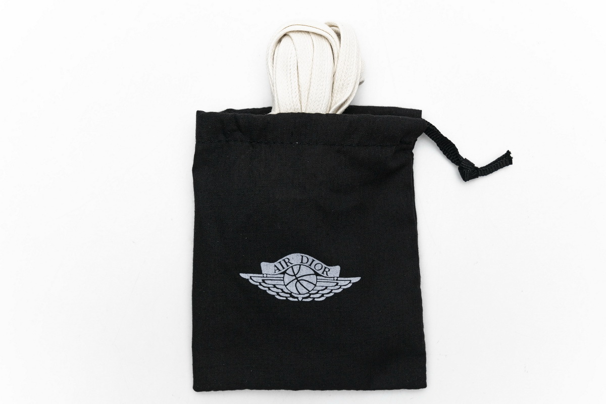 Jordan 1 Retro Low Dior