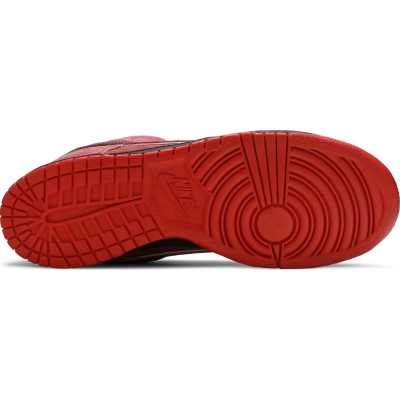 Nike Dunk SB Low Red Lobster 02