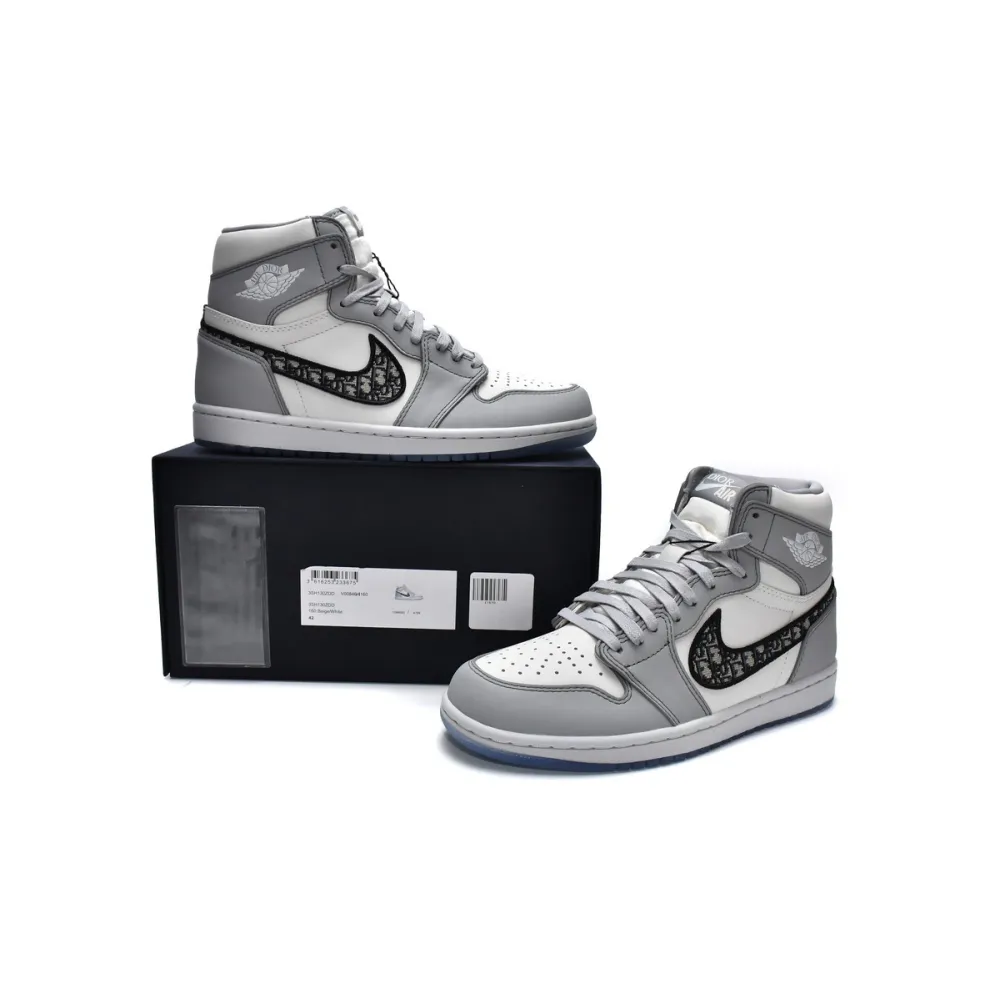 Jordan 1 Retro High Dior