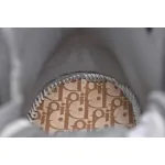 Jordan 1 Retro High Dior