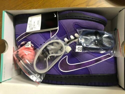 Nike SB Dunk Low Concepts Purple Lobster (Regular Box) review Regan Congreve
