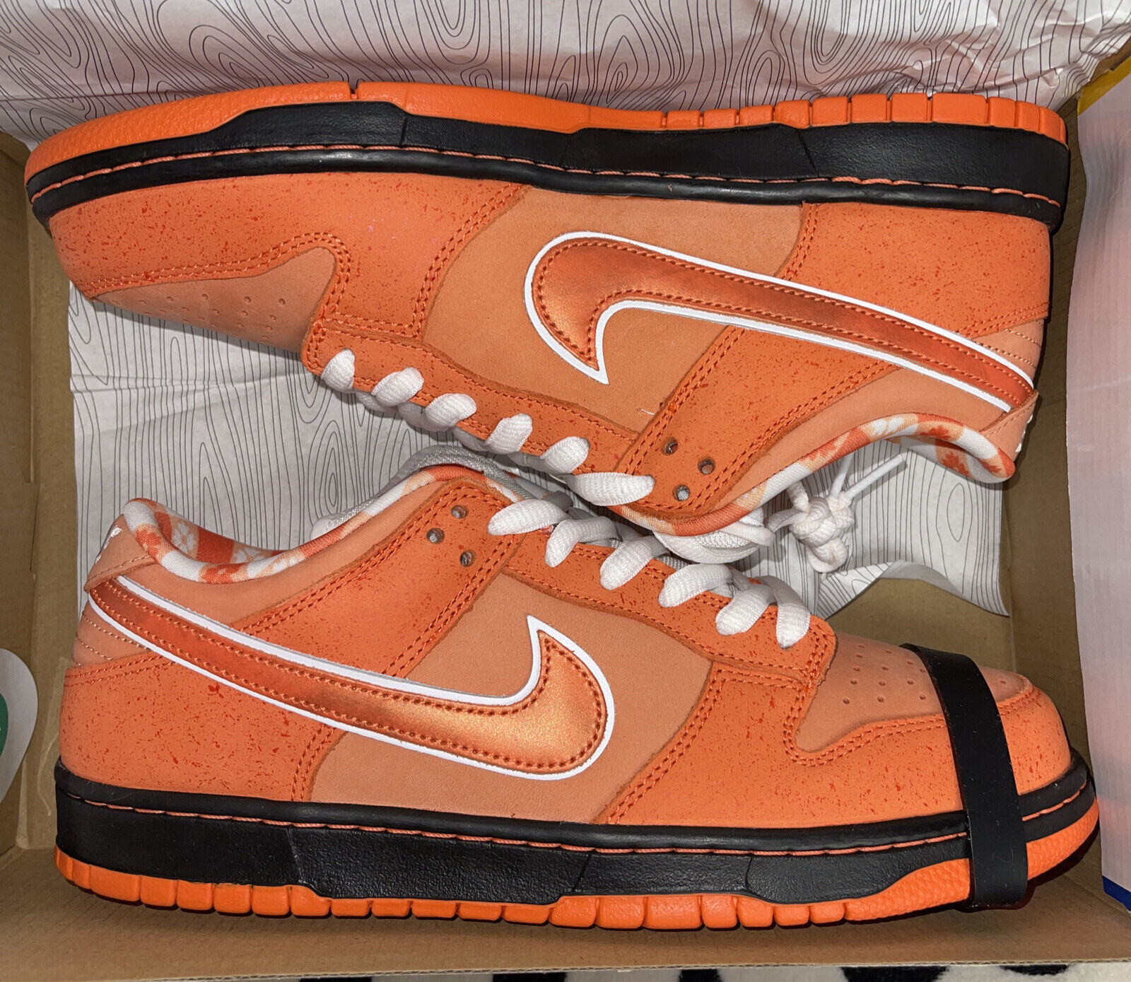Nike SB Dunk Low Concepts Orange Lobster review Freda Holt