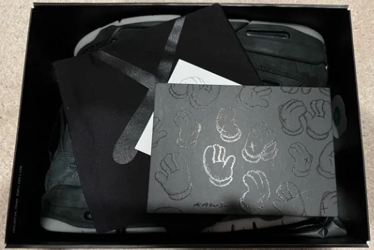 Jordan 4 Retro Kaws Black review Tammy Raglan