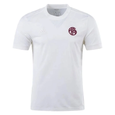 Bundesliga Men's Replica Bayern Munich Lifestyler Third Jersey 23/24 01