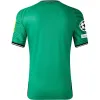 Premier League Newcastle United Away Jersey 23/24 - UCL