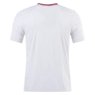 Premier League Lifestyler Manchester United Third Jersey 23/24 02