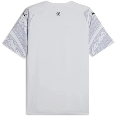 Premier League Men's Replica Manchester City Year of the Dragon Jersey 2024 02