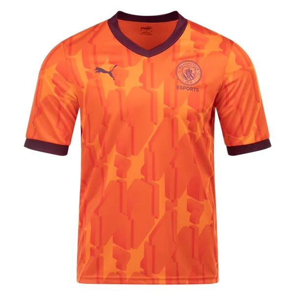 Premier League Manchester City Esports Jersey 23/24