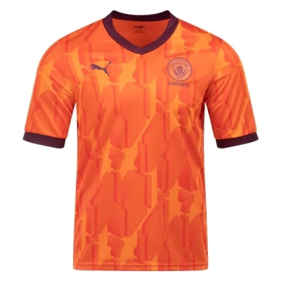 Premier League Manchester City Esports Jersey 23/24 01