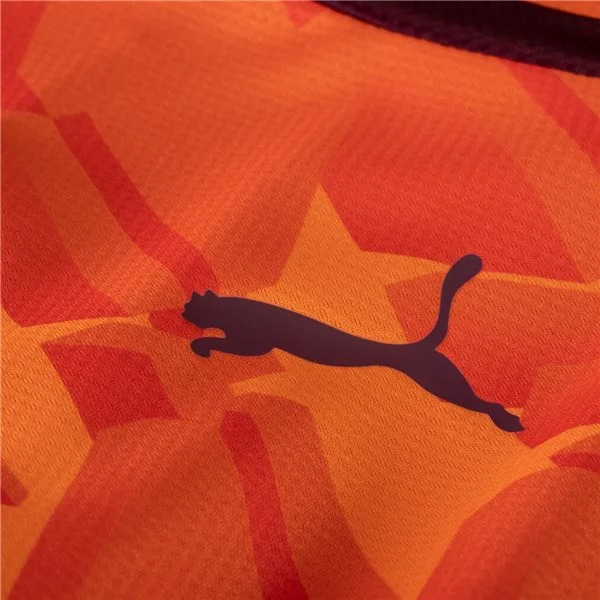 Premier League Manchester City Esports Jersey 23/24