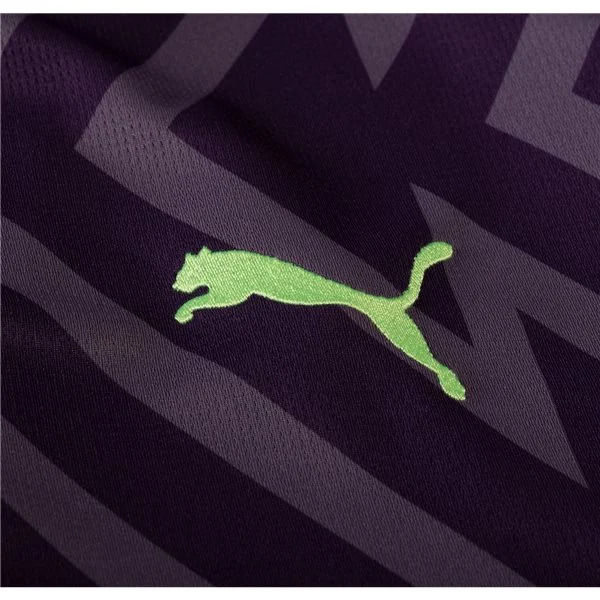 Premier League Manchester City Goalkeeper Jersey 23/24