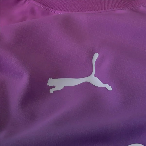 Serie A Men’s AC Milan Third Jersey 23/24