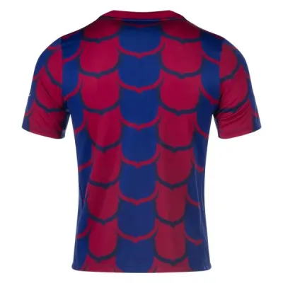 La Liga Barcelona Pre Match Training Special Edition Jersey 23/24 02