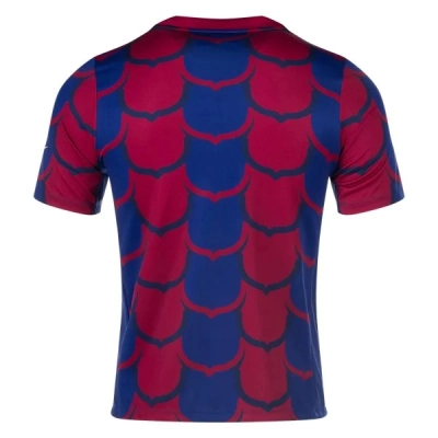La Liga Barcelona Pre Match Training Special Edition Jersey 23/24 02