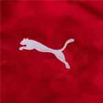Czechia 24/25 Home Jersey