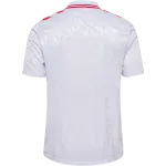 Denmark 24/25 Away Jersey