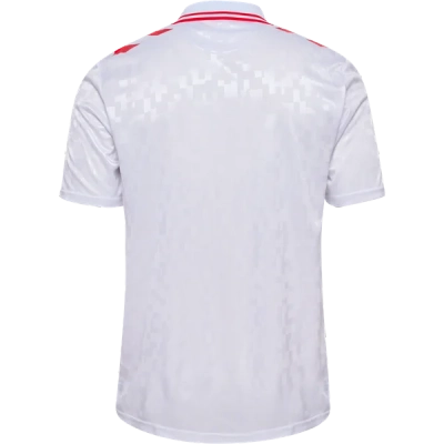 Denmark 24/25 Away Jersey 02