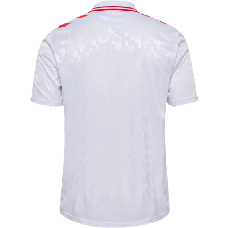 Denmark 24/25 Away Jersey