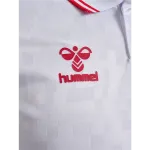 Denmark 24/25 Away Jersey