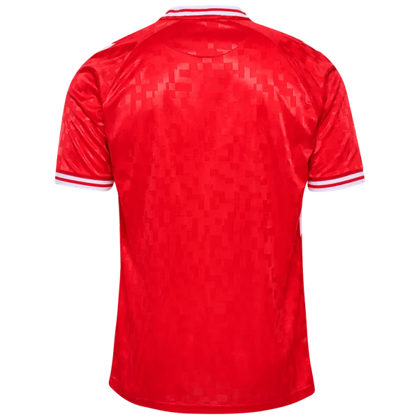 Denmark 24/25 Home Jersey