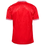 Denmark 24/25 Home Jersey