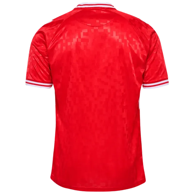 Denmark 24/25 Home Jersey