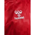Denmark 24/25 Long Sleeve Home Jersey