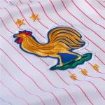 France 24/25 Away Jersey